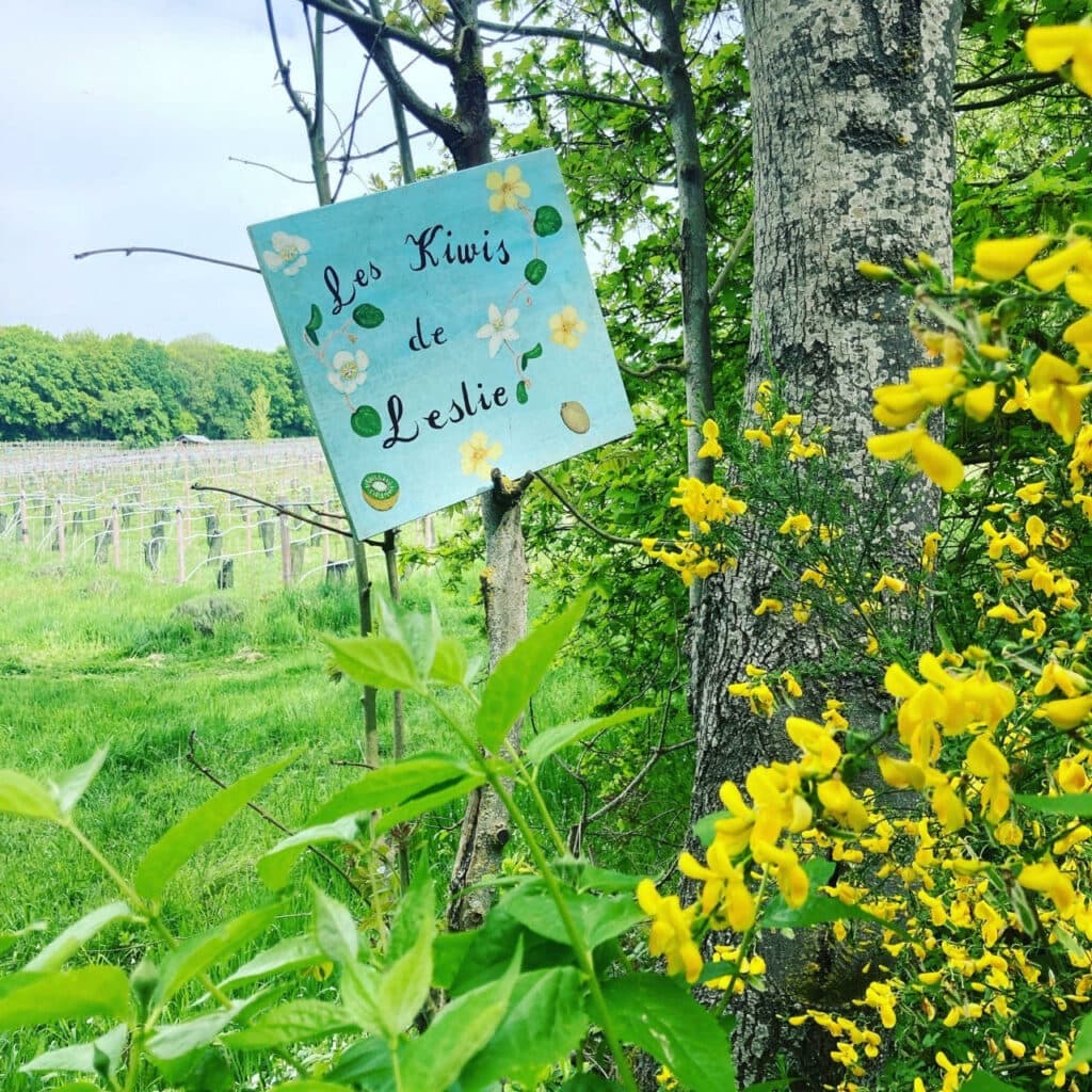 Sortie pendant les vacances